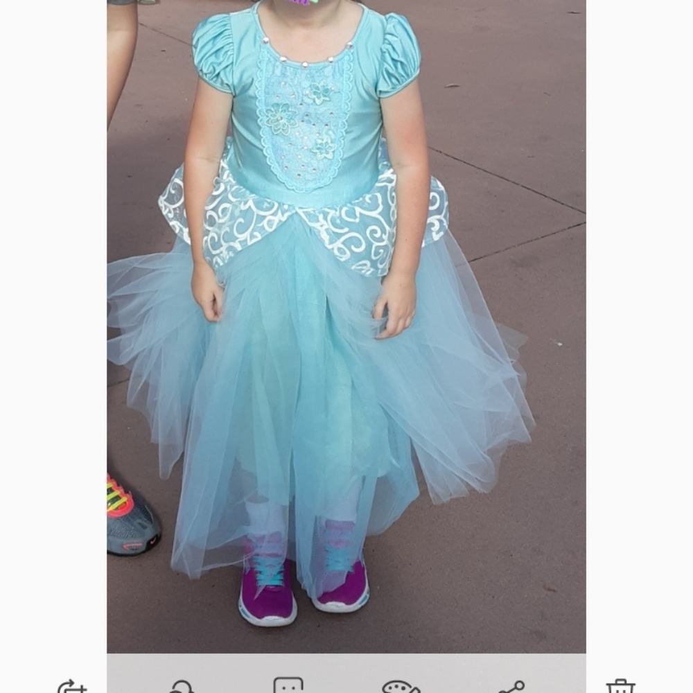 Cinderella princess dress
